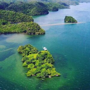 The-Haitises-National-Park-birds-island-view